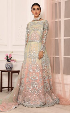 Emaan Adeel - Chiffon LR-06