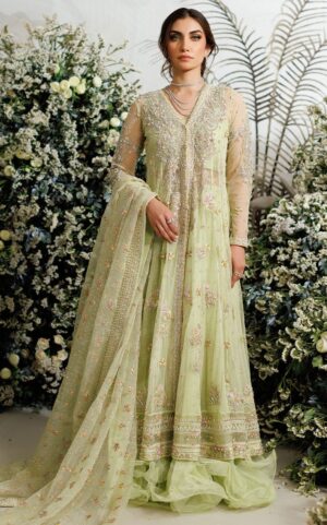 Farah Talib Aziz - Tulle Kalidaar