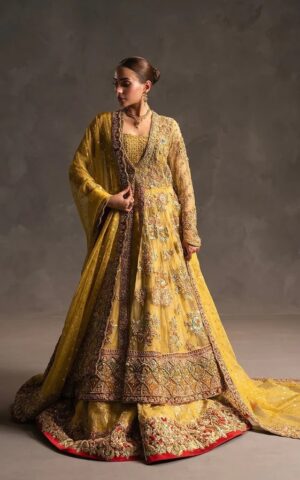 Ahmed Sultan - Sajni